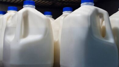 How much does a gallon of milk weigh